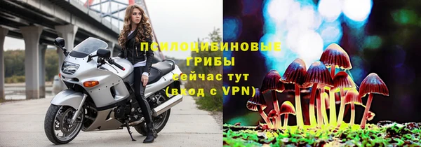 спайс Аркадак