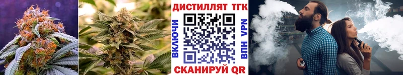 Купить где  Островной  ТГК гашишное масло 