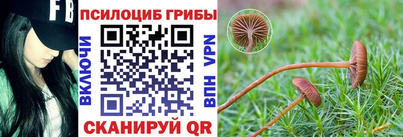 Галлюциногенные грибы мицелий  Купить закладки  Островной 